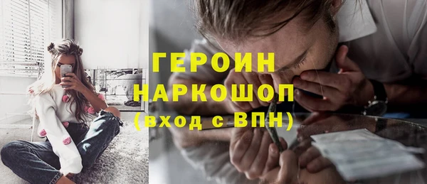 твердый Магас