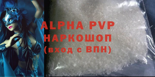 твердый Магас