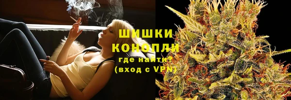 твердый Магас