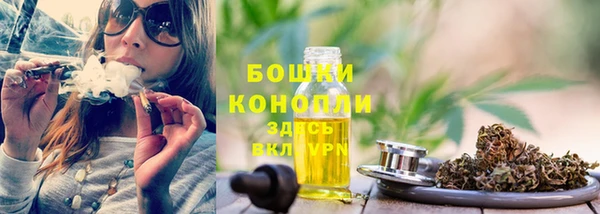 мдпв Майский