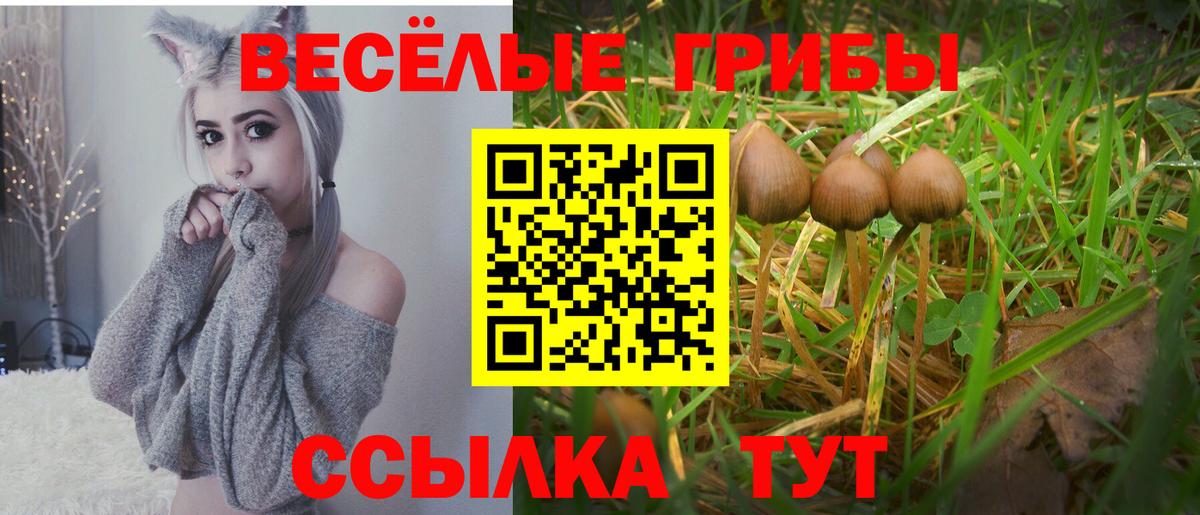 Галлюциногенные грибы Magic Shrooms Новый Уренгой
